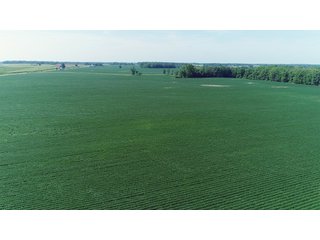 Farmland in Benton & Boone Counties, Indiana - LAND AUCTION - 118.5+/- ACRES IN 3 TRACTS IN BENTON & BOONE COUNTIES, INDIANA